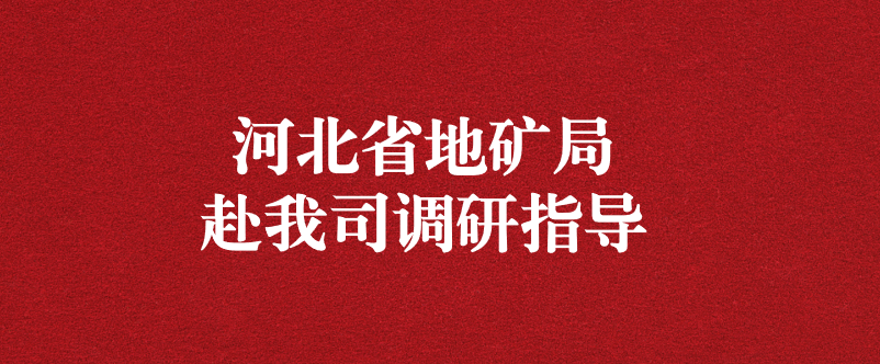 河北省地礦局黨組書記盧瑞卿赴天晟源環保調研指導