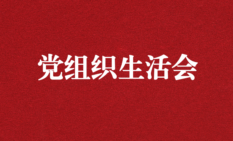 認真檢視突出問題 落細落小抓好整改 ---天晟源環保黨支部召開主題教育專題組織生活會